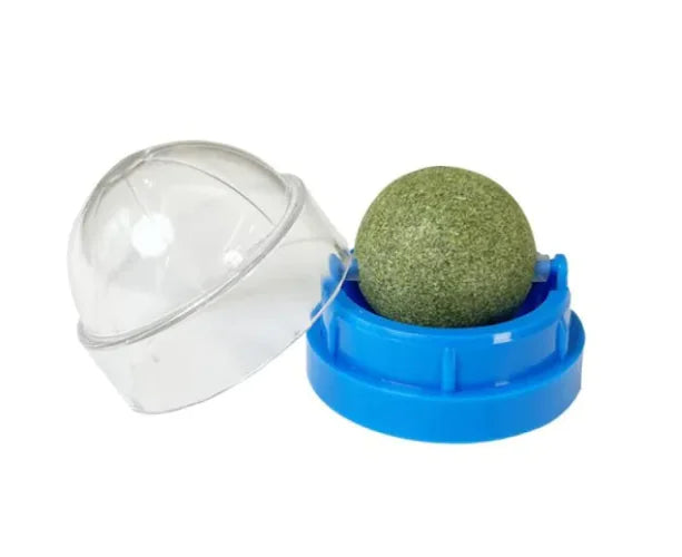 Catnip Ball Cat Toy – Interactive, Safe & Fun for Indoor Cats