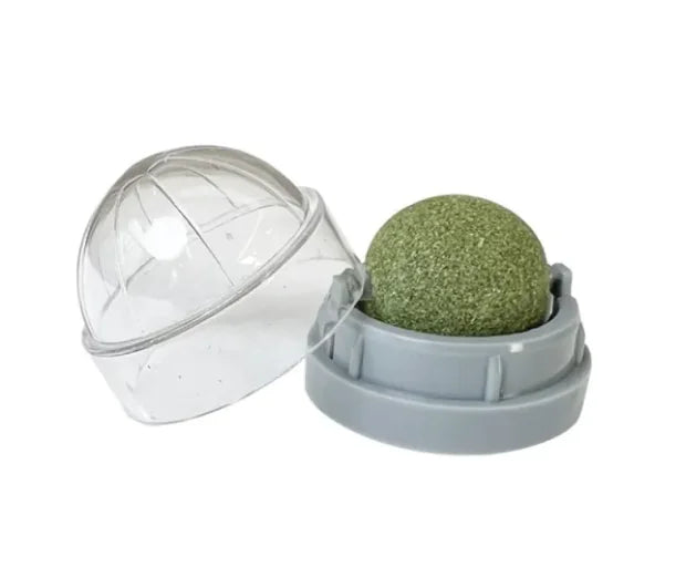 Catnip Ball Cat Toy – Interactive, Safe & Fun for Indoor Cats